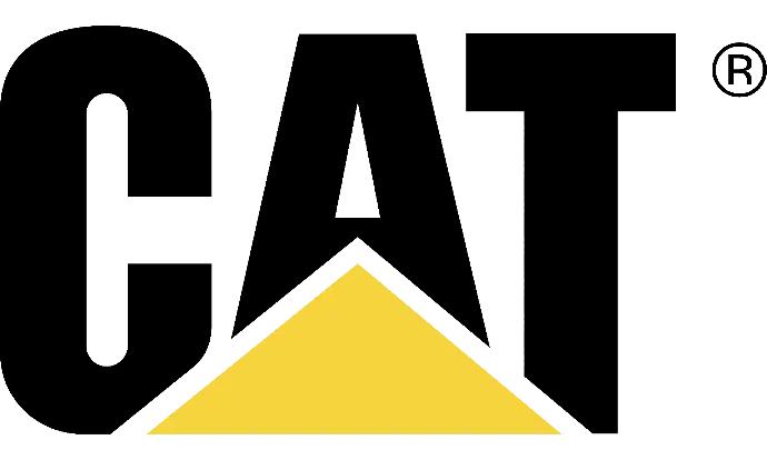 cat-logo