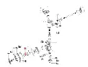 SEAL__61240.webp