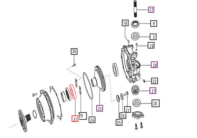 3535.webp