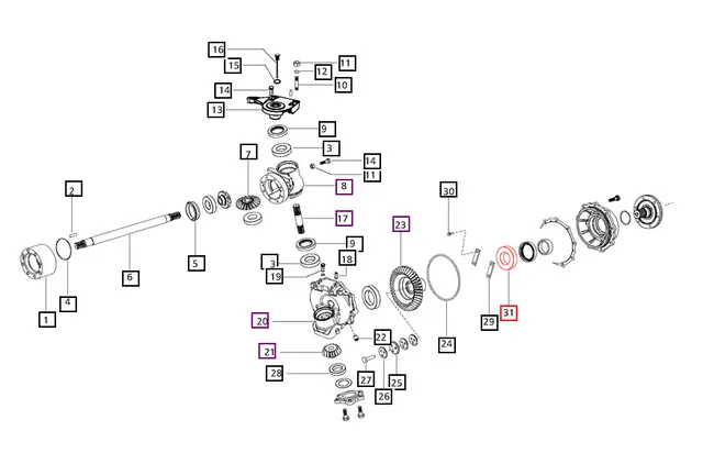 31.webp
