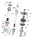 seal2__57025.webp