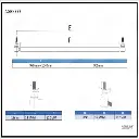 5777_3-processed(lightpdf.com).webp