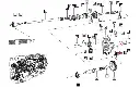 SEAL__63942.webp