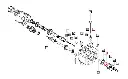 SEAL__23325.webp
