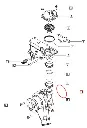 ORING__76817.webp