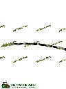 Mahindra HOSE HSU To Cylinder E007203908D1