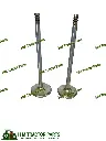 Mahindra VALVE Intake and Exhaust VALVE 006000520F1 and 006005214F1