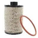 Fit For New Fuel Filter Element Kit For Mahindra Roxor 1001CAA14881N