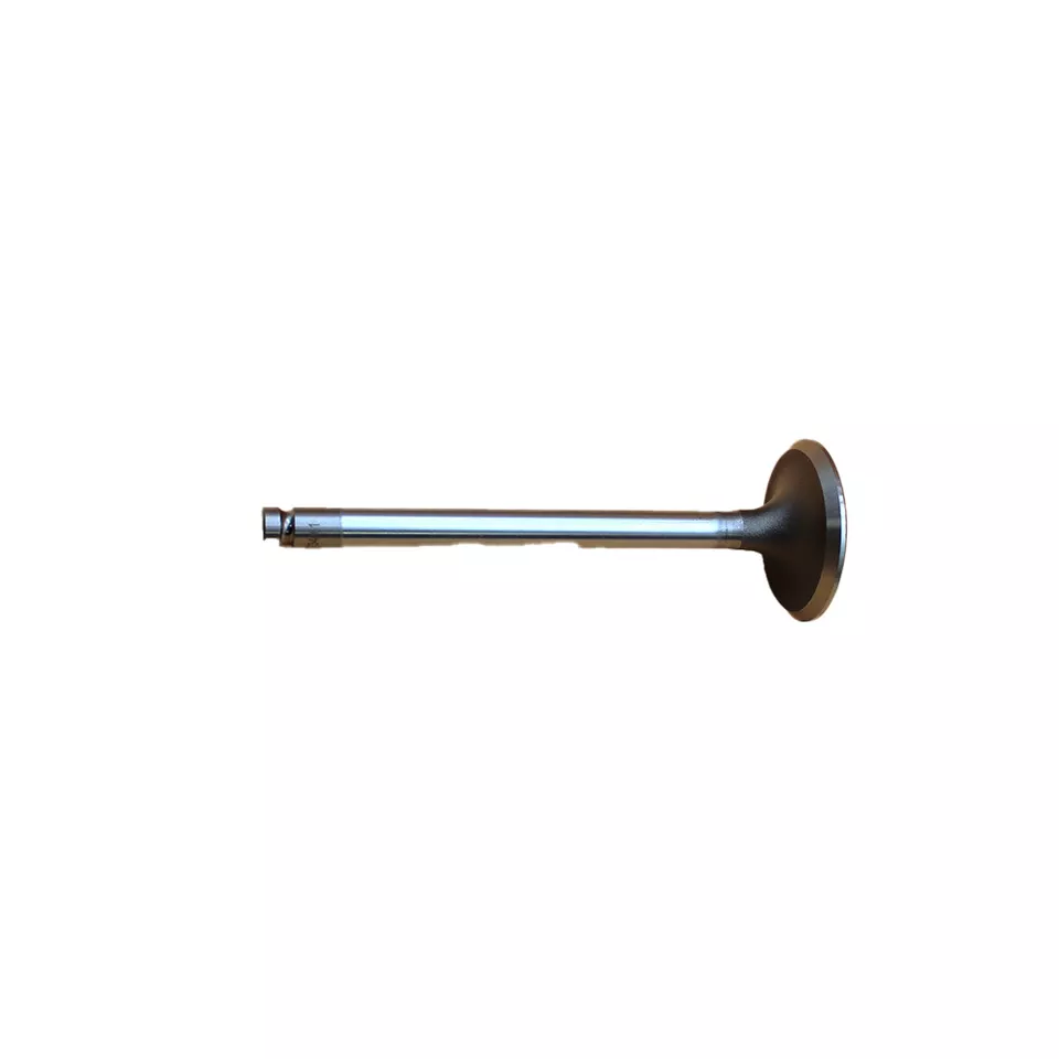 Valve Inlet suitable for Massey Ferguson - 731151M1