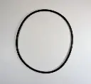 LARGE O-RING FOR HUB SWIVEL HOUSING ON MAHINDRA TRACTOR (006505675D1)