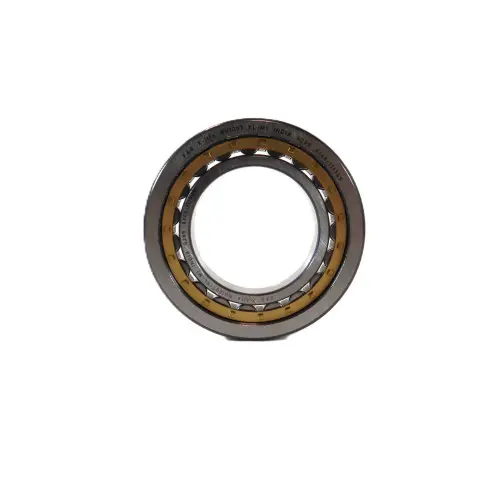 BEARING, ROLLER (35x62x14) HYDRAULIC DRIVE (006000565F1)