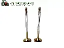 VALVE SET ENGINE FOR MAHINDRA TRACTOR 005553796R91 / 005555014R1