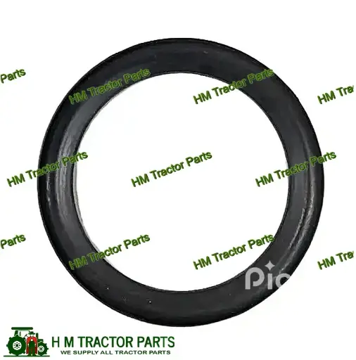 SEALING RING, BOTTOM AIR PRE-CLEANER (DUST BOWL) (001233077R1)