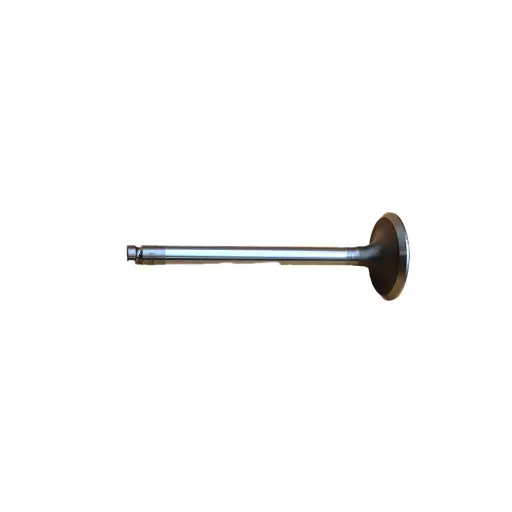 Valve Inlet suitable for Massey Ferguson - 731151M1