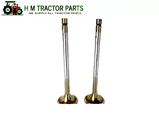 VALVE SET ENGINE FOR MAHINDRA TRACTOR 005553796R91 / 005555014R1